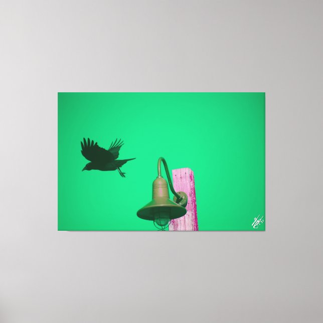 Langley Crow auf der Light Post Series #7 Leinwanddruck (Vorderseite)