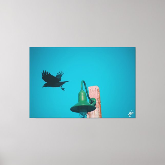 Langley Crow auf Light Post Series #10 Leinwanddruck (Vorderseite)