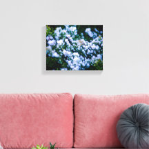 Langley Waterfront Blumencluster-Fotografie