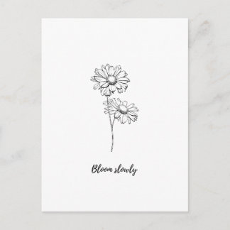 Langsam Blühen Minimale Gänseblümchen Blumen Aufkl Postkarte