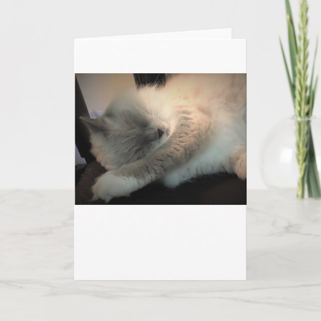 Langsame Tage, Karte (Vorderseite)