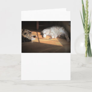 Langsame Tage, Karte