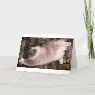 Langsame Tage, Karte