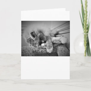 Langsame Tage, Karte