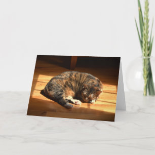 Langsame Tage, Karte