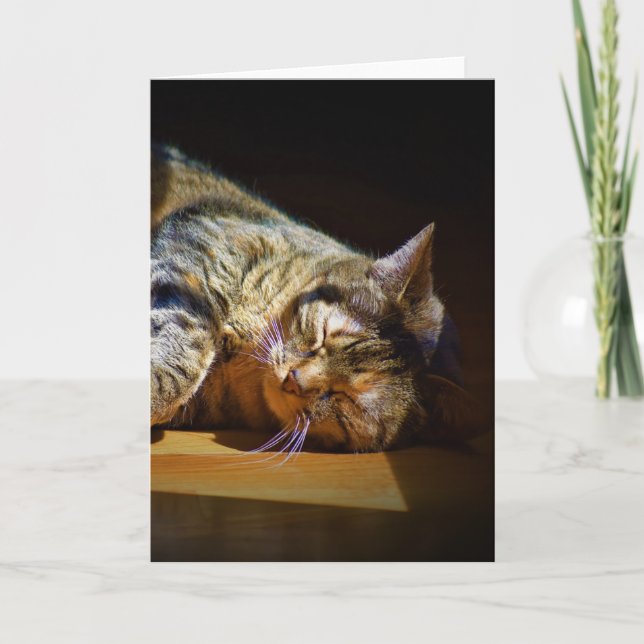 Langsame Tage, Karte (Vorderseite)