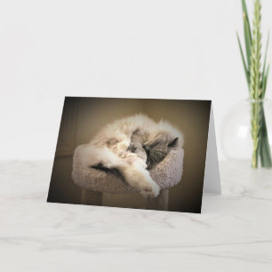 Langsame Tage, Karte