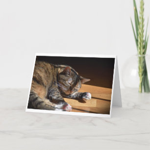 Langsame Tage, Karte