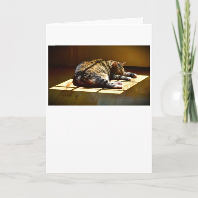 Langsame Tage, Karte (Vorderseite)