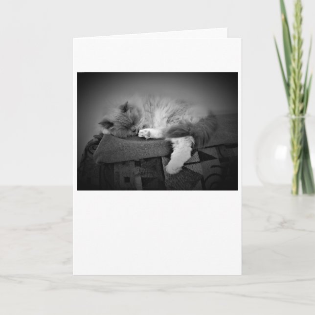 Langsame Tage, Karte (Vorderseite)