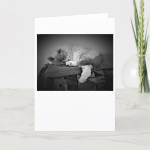 Langsame Tage, Karte