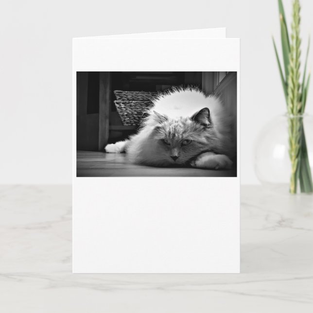 Langsame Tage, Karte (Vorderseite)