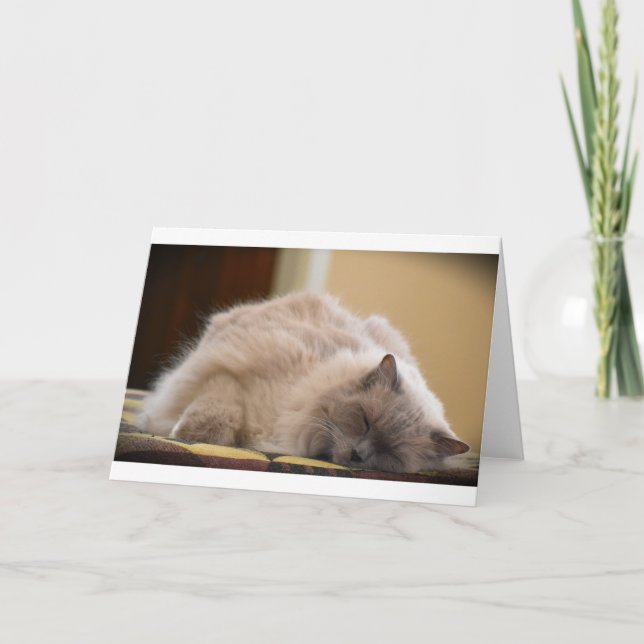 Langsame Tage, Karte (Vorderseite)