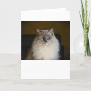 Langsame Tage, Karte