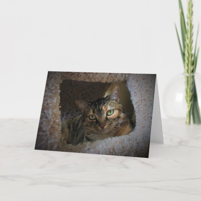 Langsame Tage, Karte (Vorderseite)