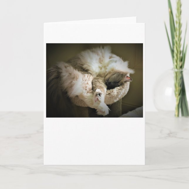 Langsame Tage, Karte (Vorderseite)