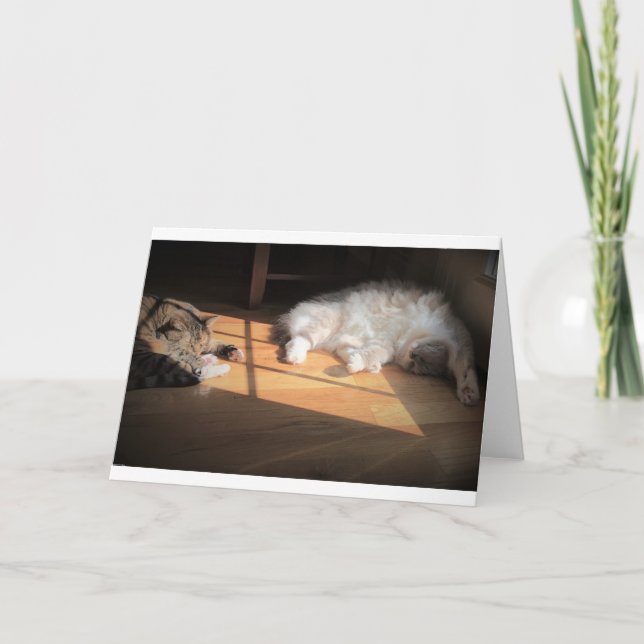 Langsame Tage, Karte (Vorderseite)