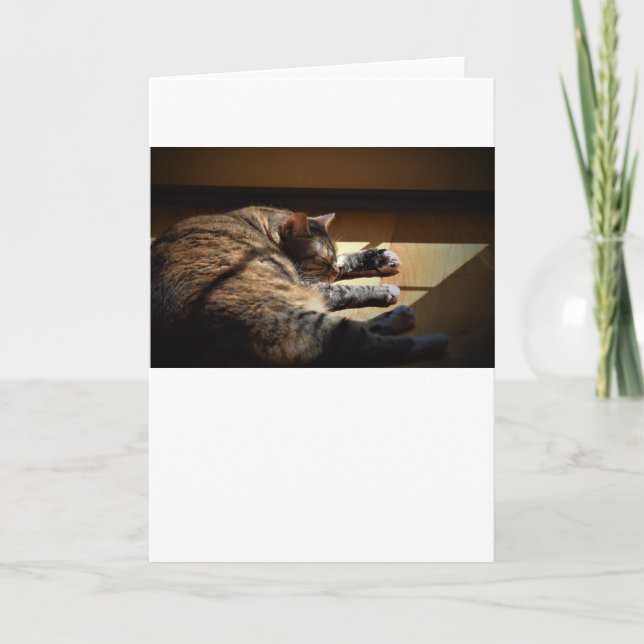 Langsame Tage, Karte (Vorderseite)