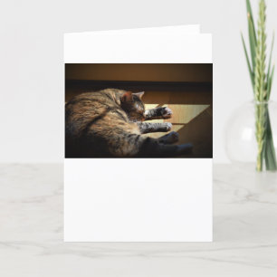 Langsame Tage, Karte