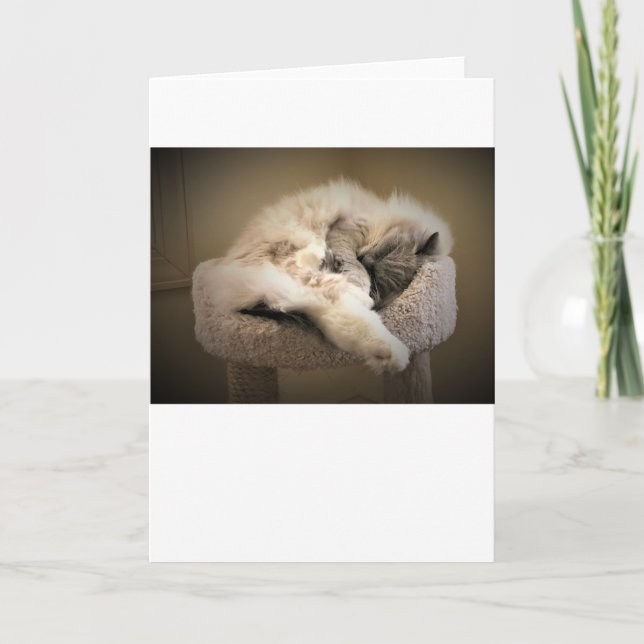 Langsame Tage, Karte (Vorderseite)