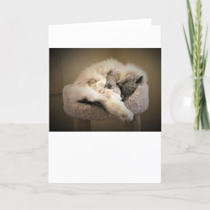 Langsame Tage, Karte