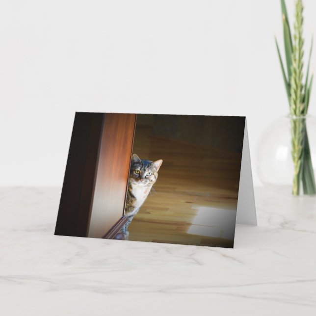 Langsame Tage, Karte (Vorderseite)