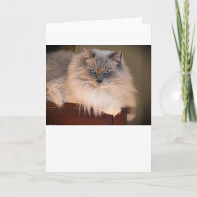 Langsame Tage, Karte (Vorderseite)