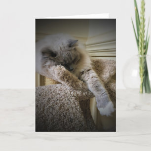 Langsame Tage, Karte