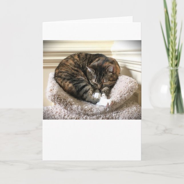 Langsame Tage, Karte (Vorderseite)