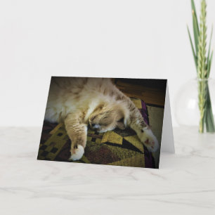 Langsame Tage, Karte