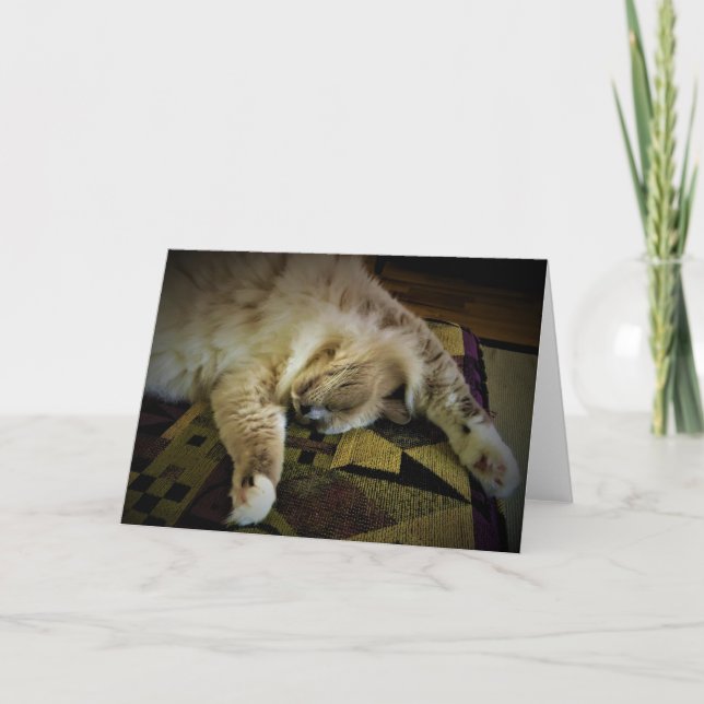 Langsame Tage, Karte (Vorderseite)