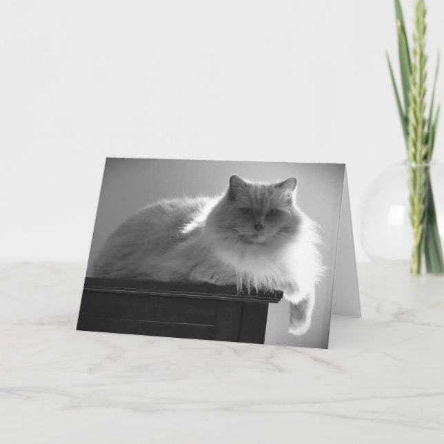 Langsame Tage, Karte (Vorderseite)