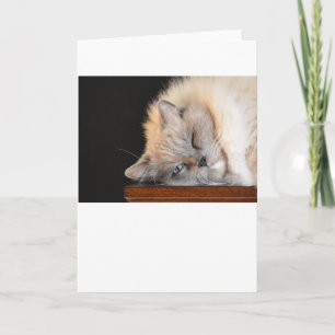 Langsame Tage, Karte