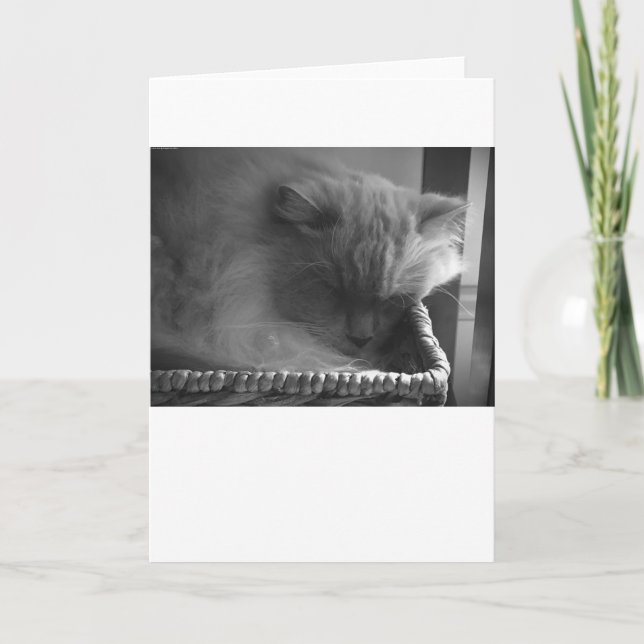 Langsame Tage, Karte (Vorderseite)