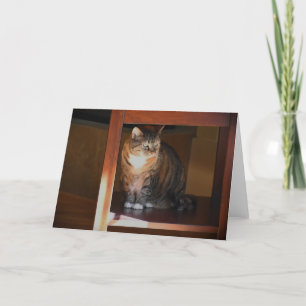 Langsame Tage, Karte