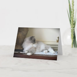 Langsame Tage, Karte