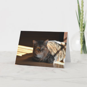 Langsame Tage, Karte