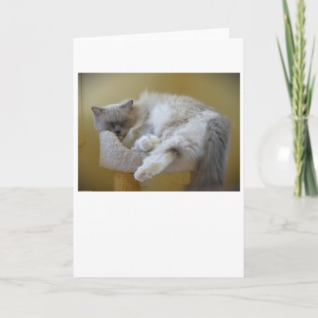 Langsame Tage, Karte (Vorderseite)