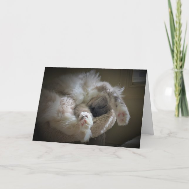 Langsame Tage, Karte (Vorderseite)