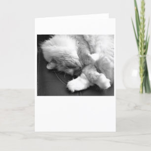 Langsame Tage, Karte