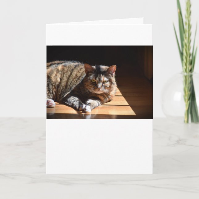 Langsame Tage, Karte (Vorderseite)