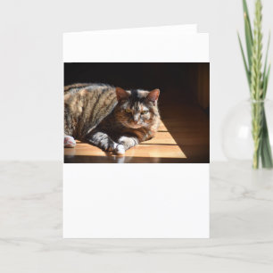 Langsame Tage, Karte