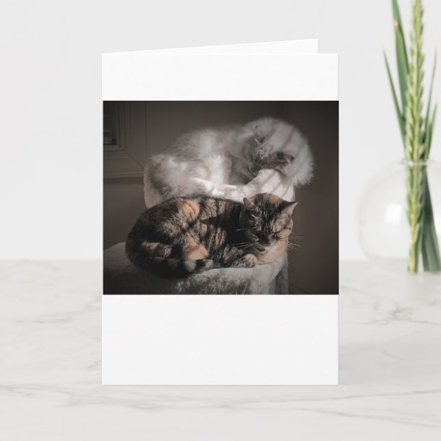 Langsame Tage, Karte (Vorderseite)