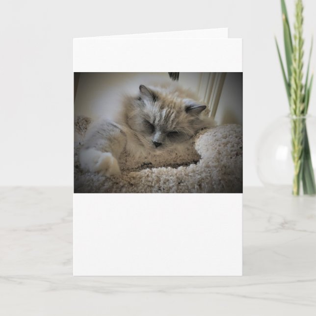 Langsame Tage, Karte (Vorderseite)