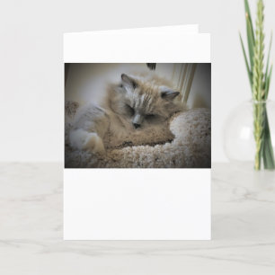 Langsame Tage, Karte