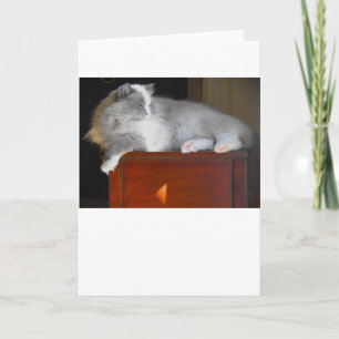 Langsame Tage, Karte