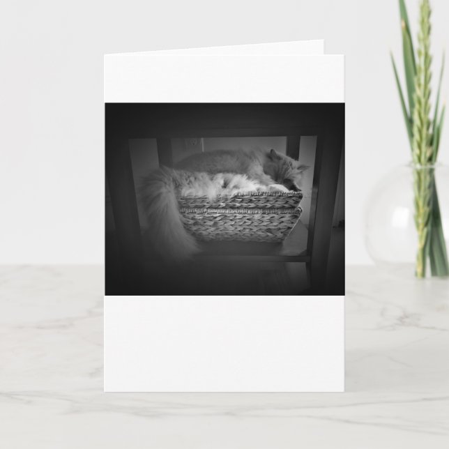 Langsame Tage, Karte (Vorderseite)