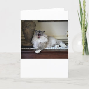 Langsame Tage, Karte