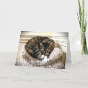 Langsame Tage, Karte