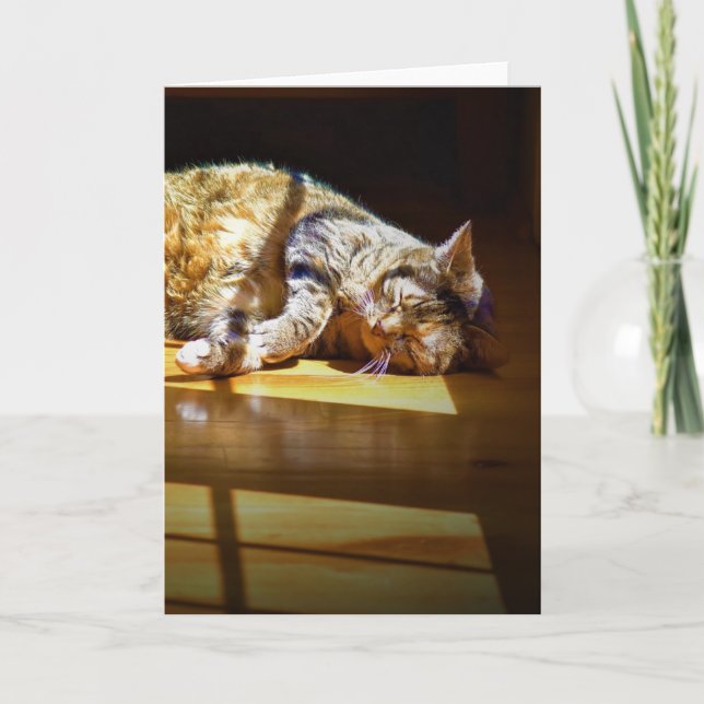 Langsame Tage, Karte (Vorderseite)